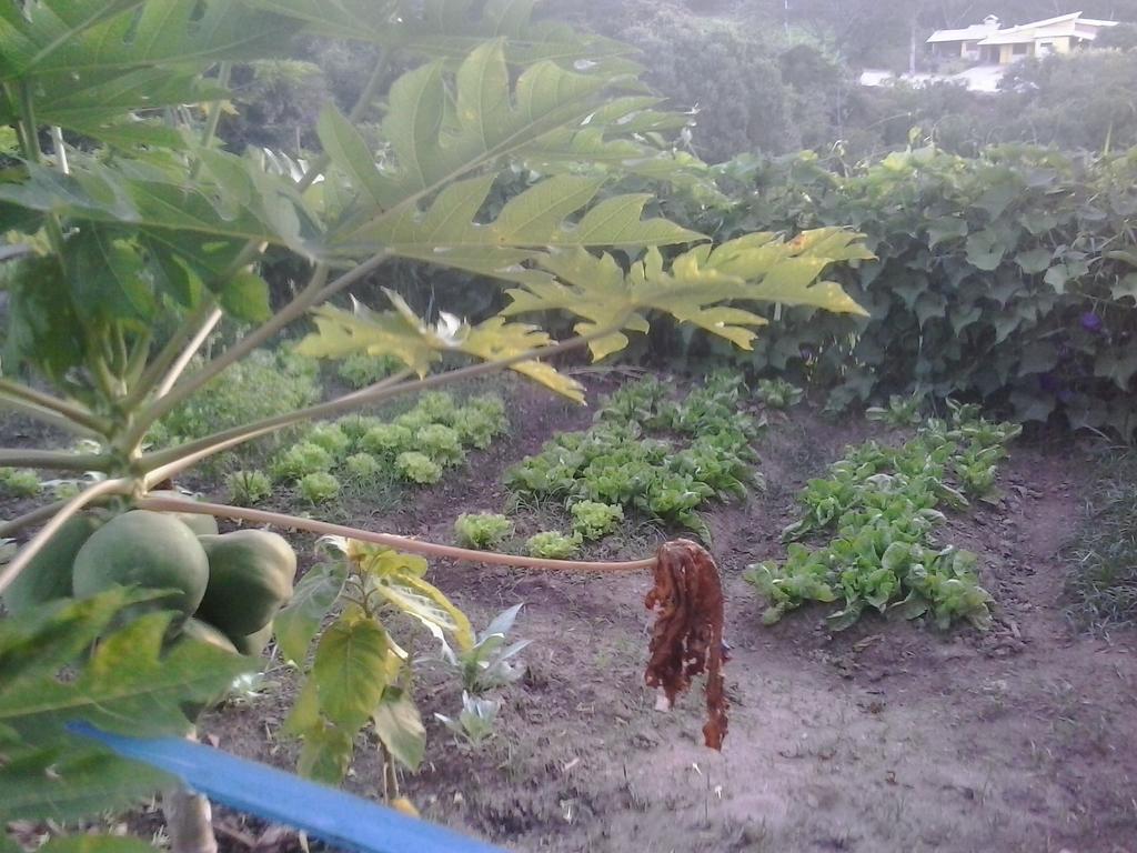 Pousada Complexo Cantagalo São Tomé das Letras 外观 照片